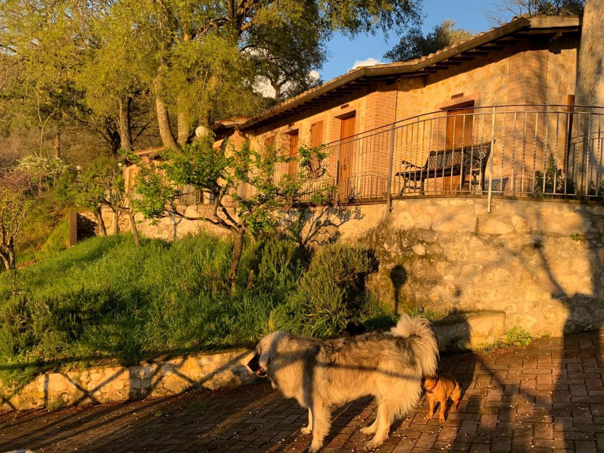 Setterhouseagrihotel Trevi Ngoại thất bức ảnh