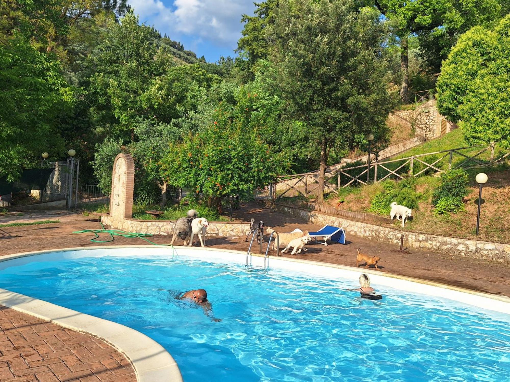 Setterhouseagrihotel Trevi Ngoại thất bức ảnh